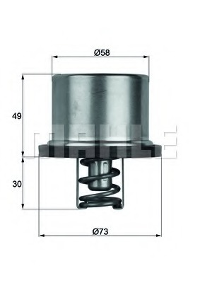 Termostat lichid racire