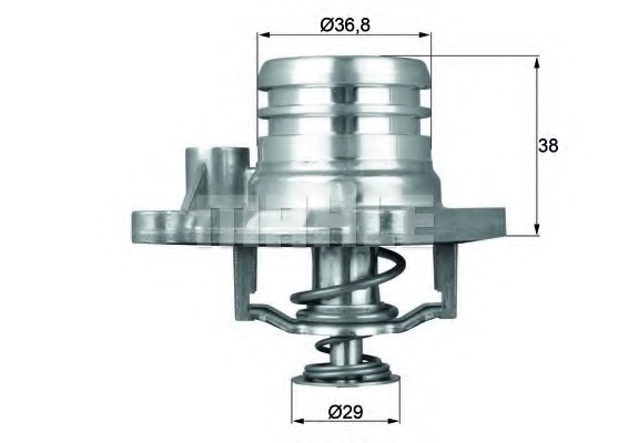 Termostat lichid racire