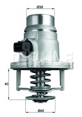 Termostat lichid racire