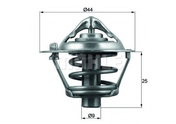 Termostat lichid racire