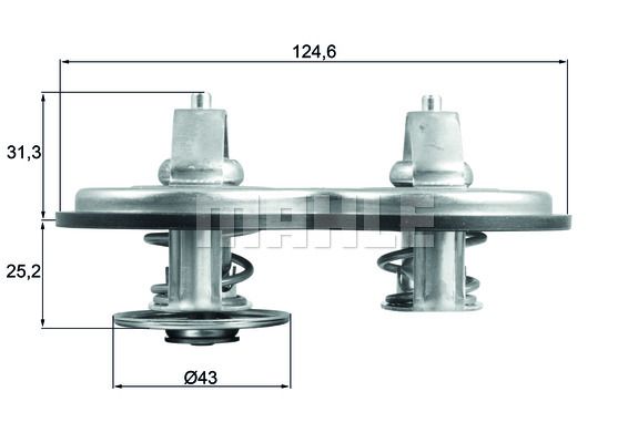 Termostat lichid racire