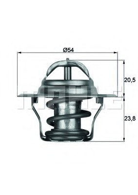 Termostat lichid racire