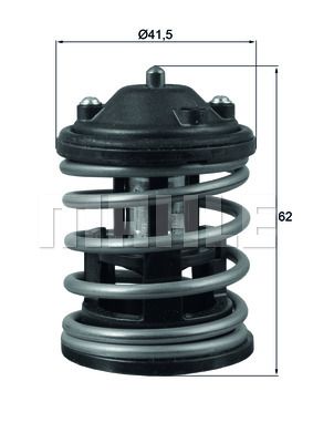 Termostat lichid racire