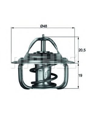 Termostat lichid racire