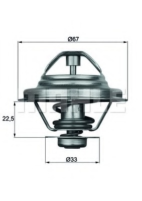 Termostat lichid racire