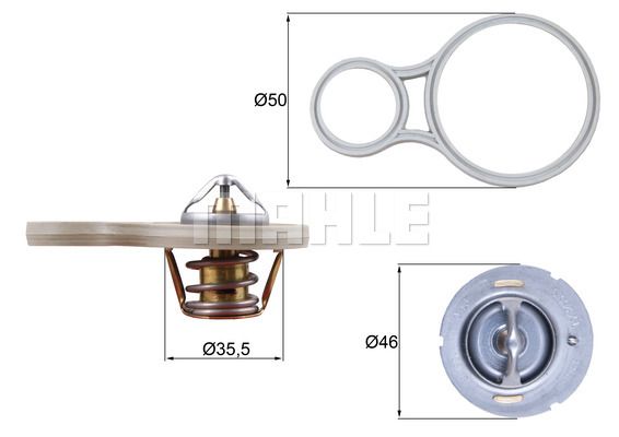 Termostat lichid racire