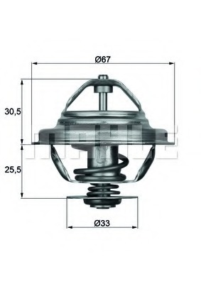 Termostat lichid racire