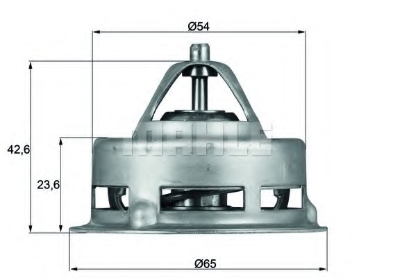 Termostat lichid racire