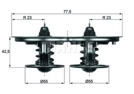 Termostat lichid racire