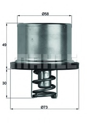 Termostat lichid racire