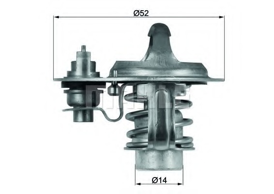 Termostat lichid racire