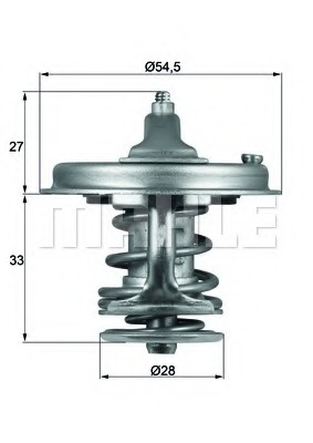 Termostat lichid racire