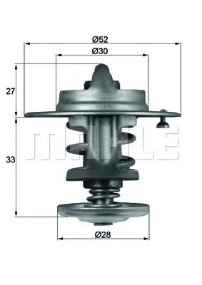 Termostat lichid racire