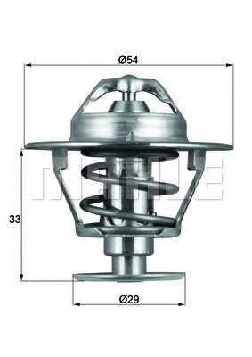 Termostat lichid racire