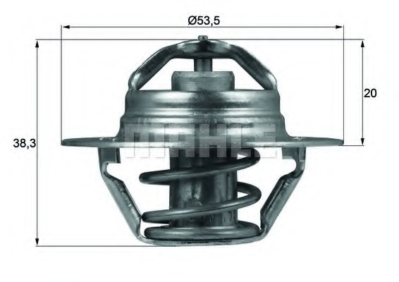 Termostat lichid racire