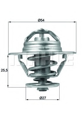 Termostat lichid racire