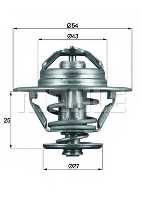 Termostat lichid racire