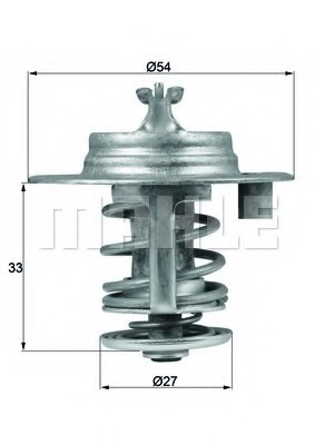 Termostat lichid racire