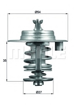 Termostat lichid racire