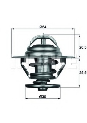 Termostat lichid racire