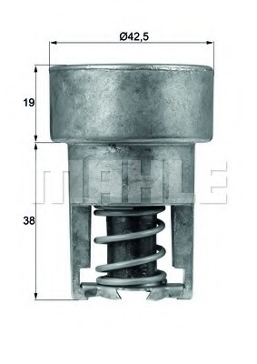 Termostat lichid racire