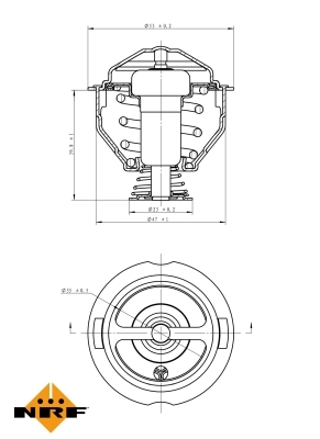 Termostat lichid racire