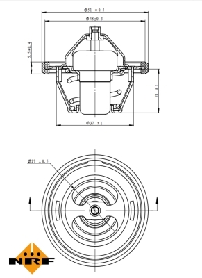 Termostat lichid racire