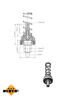 Termostat lichid racire