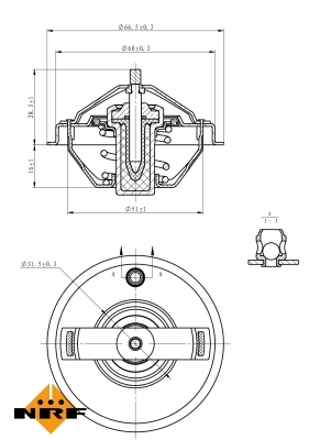 Termostat lichid racire