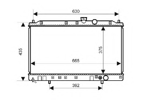 Radiator racire motor