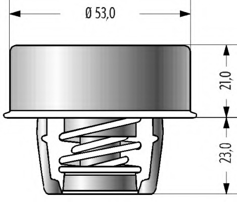 Termostat lichid racire