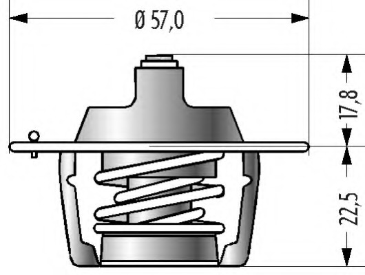 Termostat lichid racire