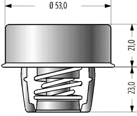 Termostat lichid racire