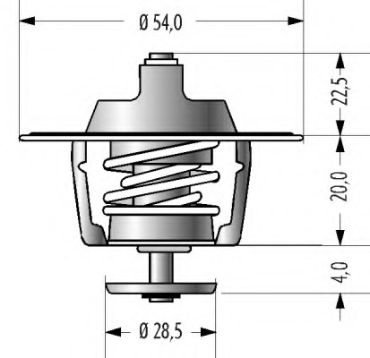 Termostat lichid racire