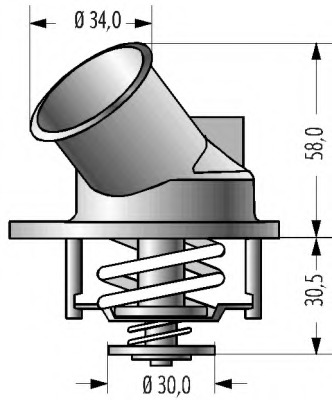 Termostat lichid racire