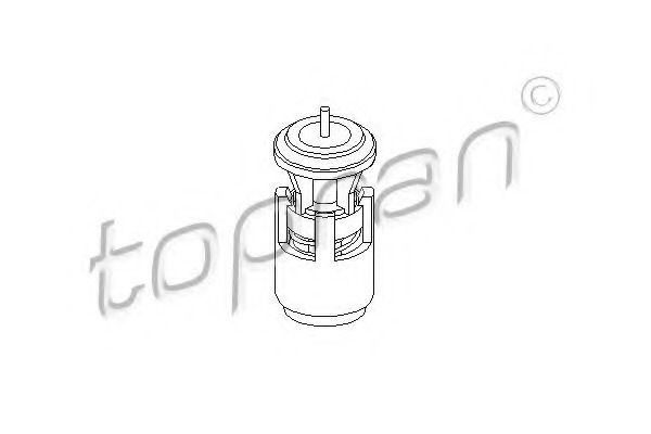 Termostat lichid racire