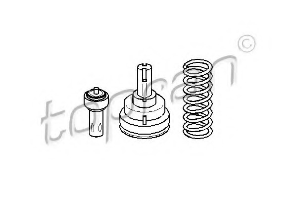 Termostat lichid racire