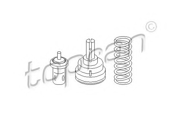 Termostat lichid racire