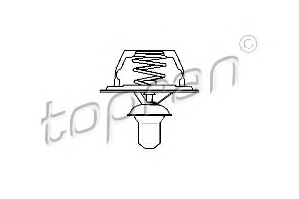 Termostat lichid racire