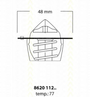 Termostat lichid racire