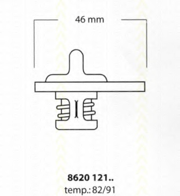 Termostat lichid racire