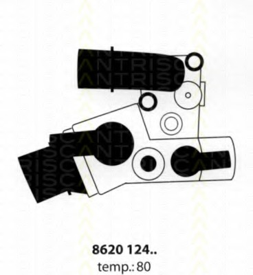 Termostat lichid racire