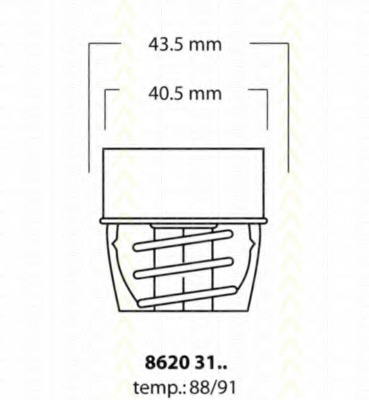 Termostat lichid racire