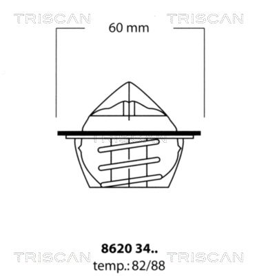 Termostat lichid racire