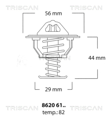 Termostat lichid racire