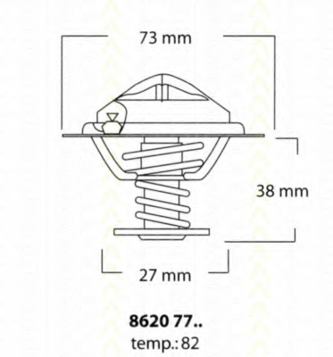 Termostat lichid racire