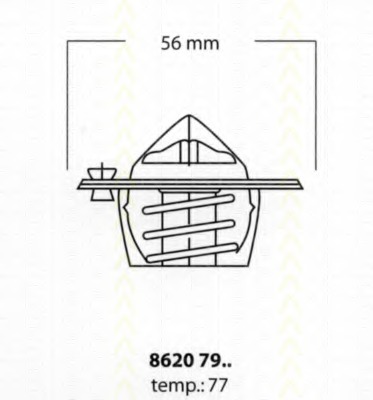 Termostat lichid racire