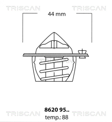 Termostat lichid racire