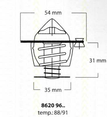 Termostat lichid racire