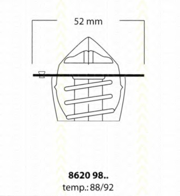 Termostat lichid racire